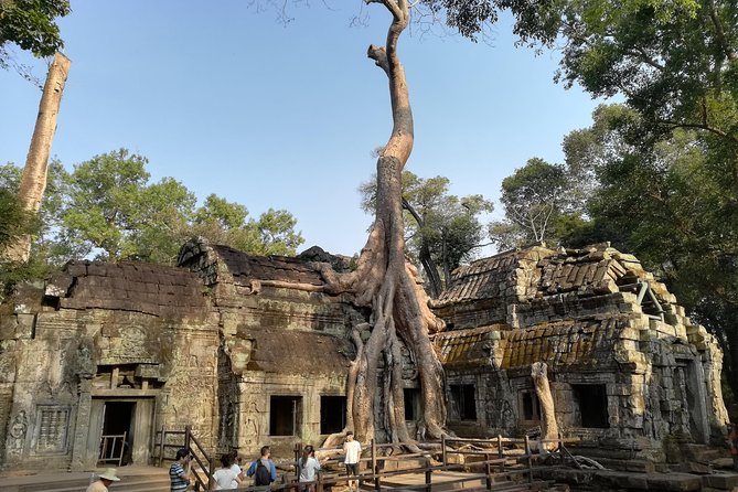 Angkor Wat Small Circuit Tour - Pickup, vehicle comfort, and how the day runs