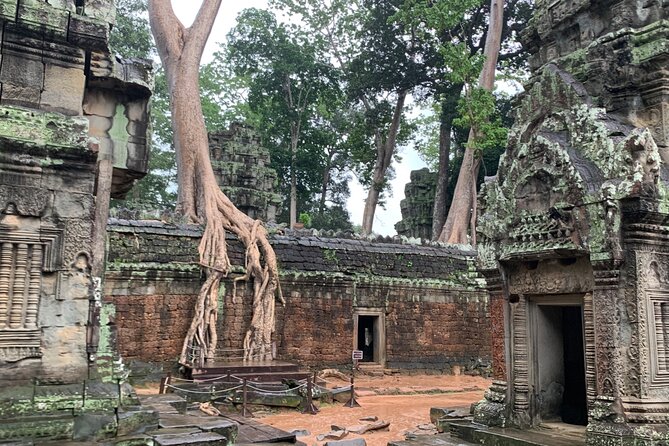 Angkor Wat Small Circuit Tour - Angkor Thom: South Gate entry and a whole city feel