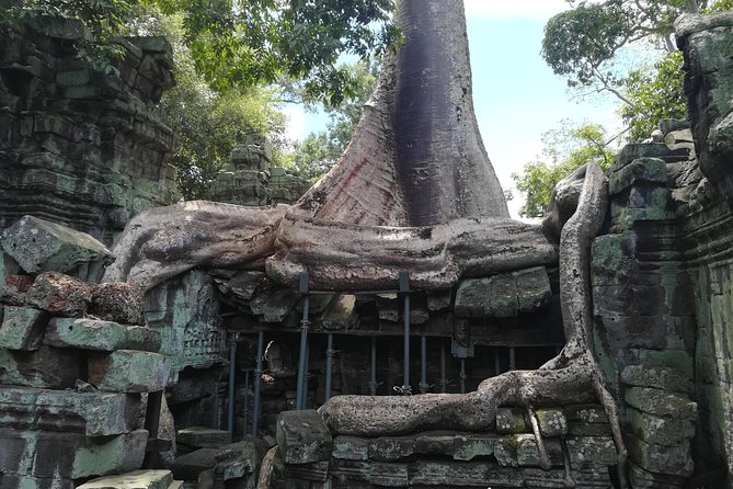 Angkor Wat Small Circuit Tour - Ta Prohm: the Tomb Raider temple, with less time than you expect