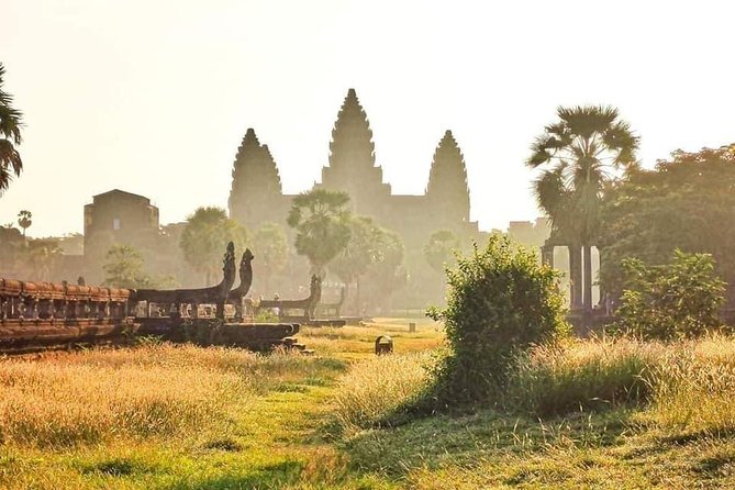 Angkor Wat Small-Group Exploration with Expert Guide - The Guide Factor: Why This Tour Feels Better Than a Map App