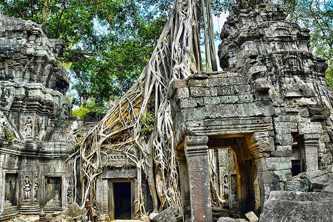 Angkor Wat Small-Group Exploration with Expert Guide - Food, Lunch, and Why It Might Cost More Than Town