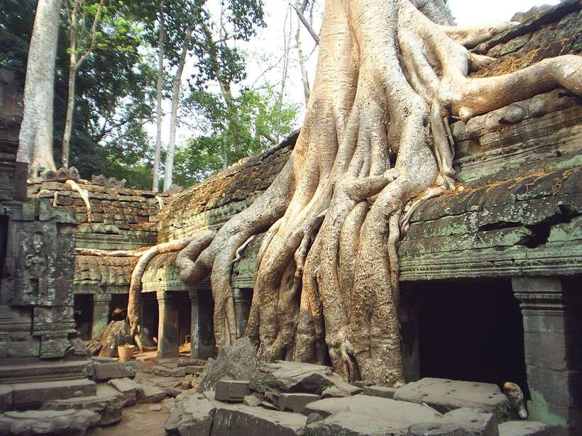 Angkor Wat: Small-Group Tour with Balloon Ride and Lunch - Angkor Wat: how the carvings and layout make sense