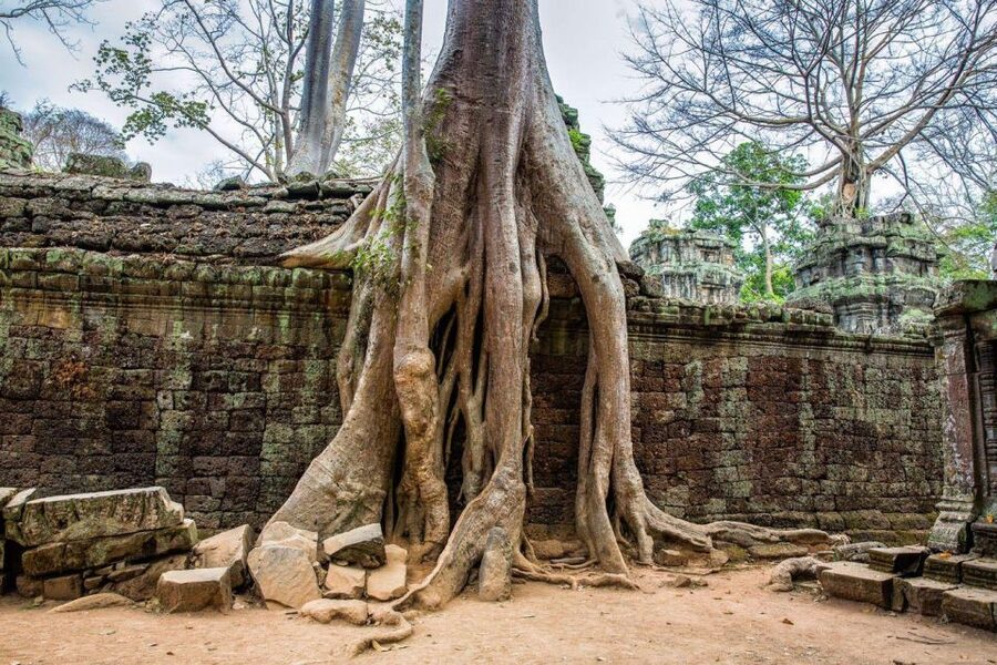 Angkor Wat Small Tour Sunrise With Private Tuk Tuk - Banteay Kdei: A Calmer Finish to the Day