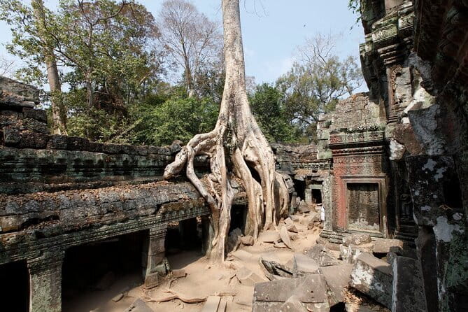 Angkor Wat & Small Tour with Bonteay Srei Temples - Banteay Srei: where small details take over