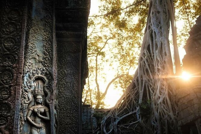 Angkor Wat Sunrise & 3 Main Temples with Breakfast – Small Group - Stop 4: Ta Prohm, jungle textures, and photo-friendly pacing