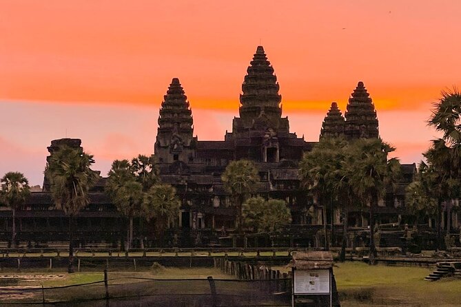 Angkor Wat Sunrise Experience – Ultimate 1-Day Guided Temple Tour - Ta Prohm: the Tomb Raider moment, with enough time to look closer