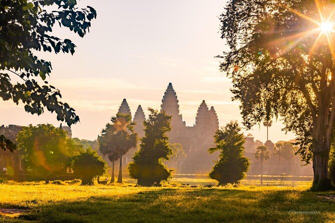 Angkor Wat Sunrise Guided Join-In Tour/Private Tour - Ta Prohm: Tomb Raider vibes, with real-world gravity