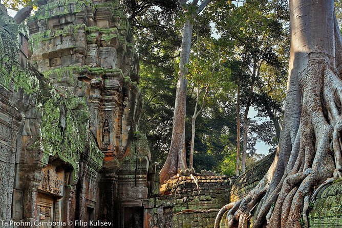 Angkor Wat Sunrise or Sunset Tour with Guide from Siem Reap - Guide energy is the real deal: you can request the right vibe
