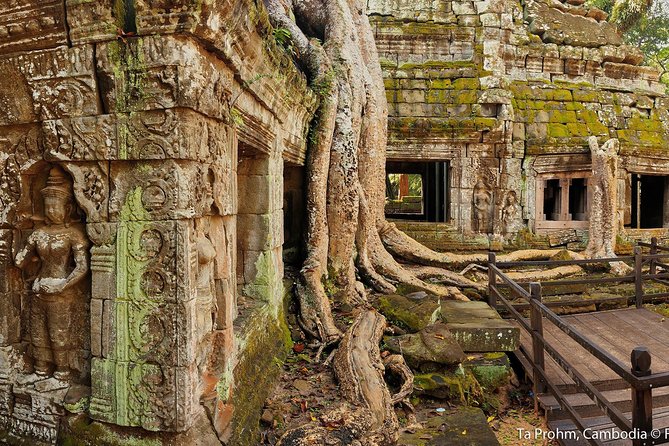 Angkor Wat Sunrise or Sunset Tour with Guide from Siem Reap - Price and value: $18 plus the $37 temple ticket