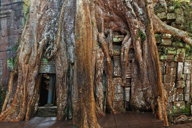 Angkor Wat Sunrise or Sunset Tour with Guide from Siem Reap - Should you book Angkor Wat Sunrise or Sunset with a guide from Siem Reap?
