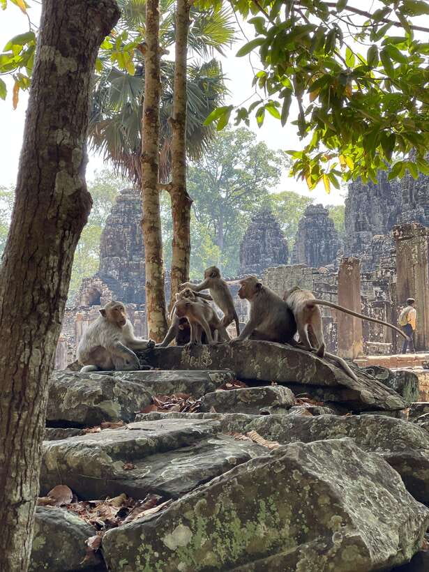 Angkor Wat Sunrise Private Full Day Tour - Bayon temple stone faces: the emotional center of the circuit