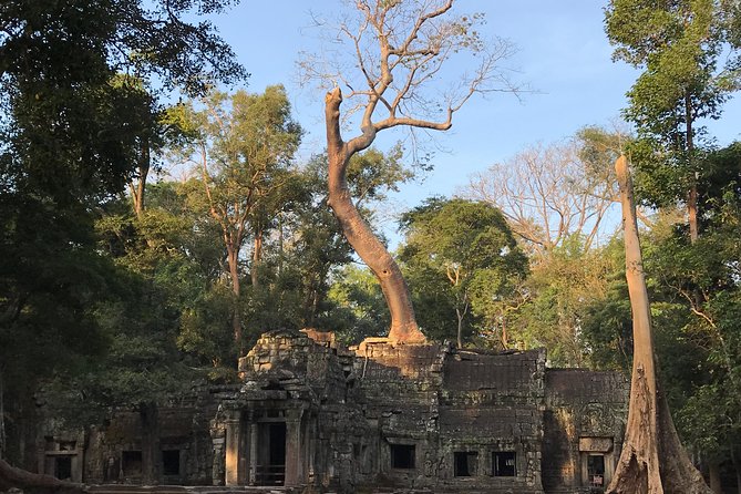 Angkor Wat Sunrise Private Tour by Vintage Jeep - Stop by stop: Angkor Wat at first light, not later
