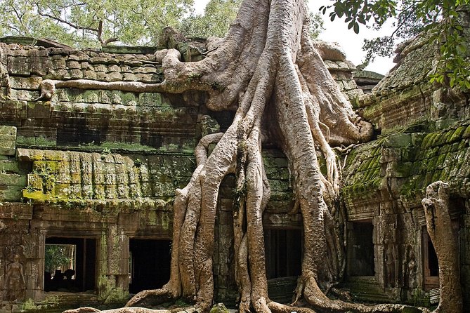 Angkor Wat Sunrise & Small Circuit Tour - Angkor Wat at first light: seeing the towers before the crowds