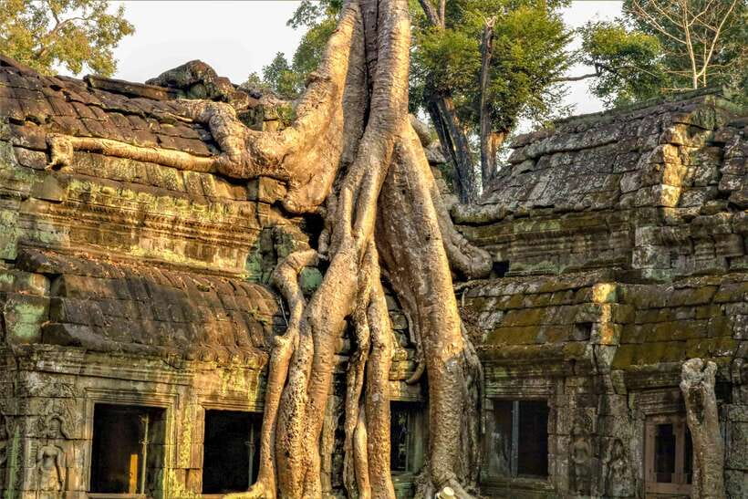 Angkor Wat Sunset Tour - Who should book this tour, and who should think twice