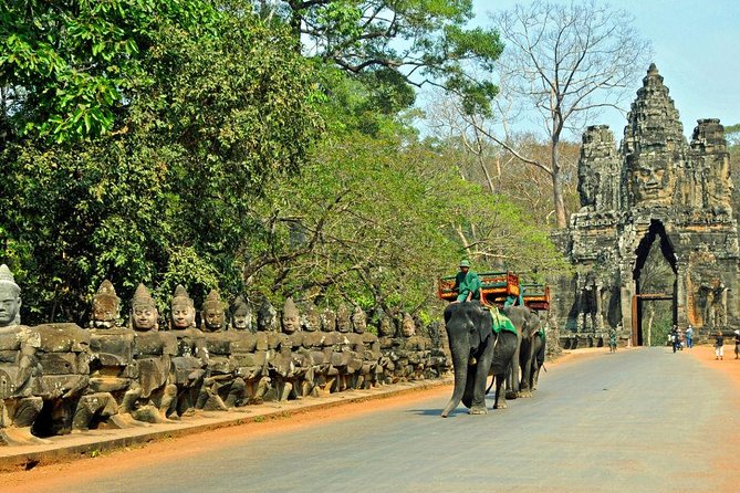 Angkor Wat Sunset Tour - Ta Prohm jungle temple, where the trees steal the show