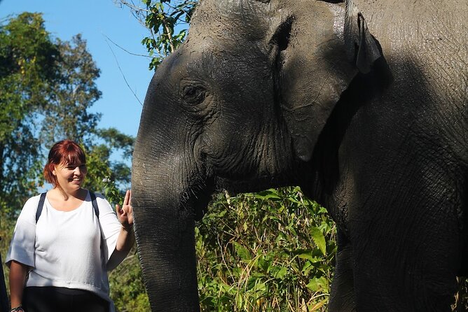 Angkor Wat Temples & Kulen Elephant Forest Day Tour - Key Highlights I’d Bookmark Before You Go