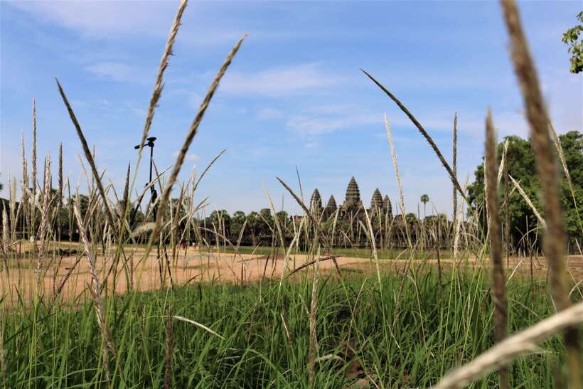 Angkor Wat: Tuk Tuk and Walking Tour - Ta Prohm Jungle Temple: When the Ruins Feel Alive