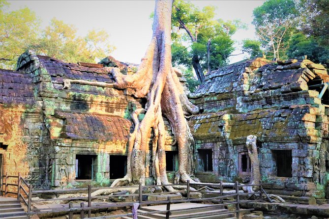 Angkor World Heritage with Sunrise - Small Group - Angkor Thom South Gate: capital scale in a quick hit