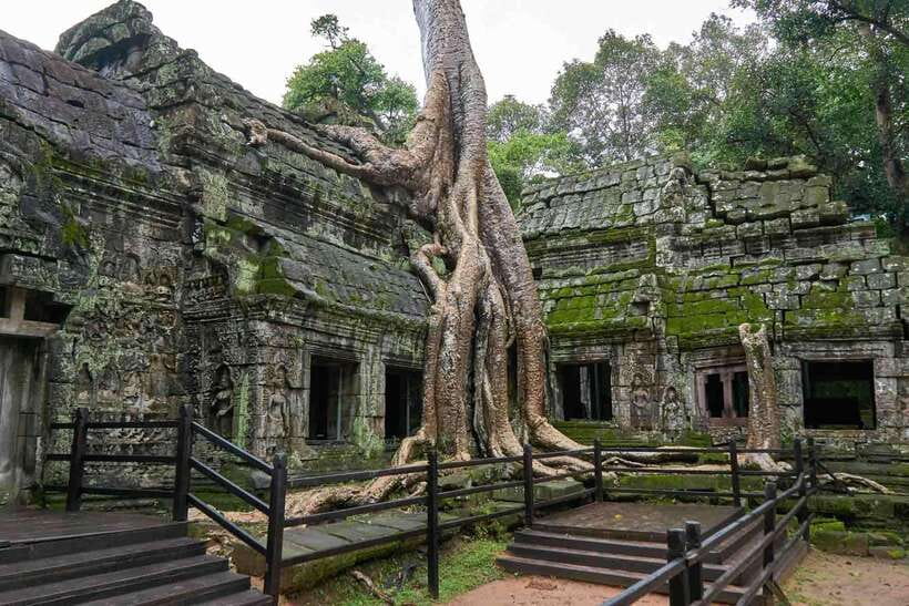 Angkor Zipline and Temple Tour with Sunset - Key points to know before you go