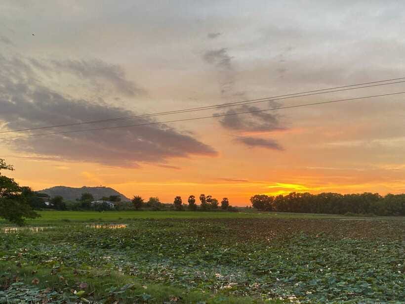 Authentic Siem Reap: Tuk Tuk Countryside and Sunset Tour - Rice wine distillation: fermentation, leftovers, and farm logic
