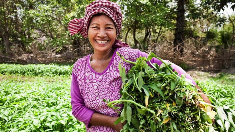Back to Basics: Village Life Tour from Siem Reap - Quick hits before you go