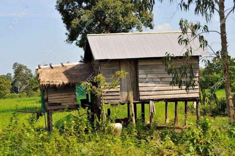 Back to Basics: Village Life Tour from Siem Reap - Lunch by the water, Khmer-style eating, and small comfort details