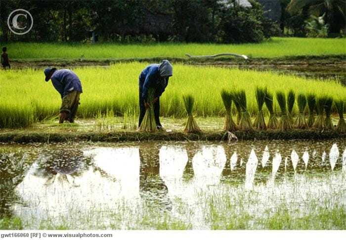 Back to Basics: Village Life Tour from Siem Reap - Price and logistics: is $68 worth a 4-hour half-day?