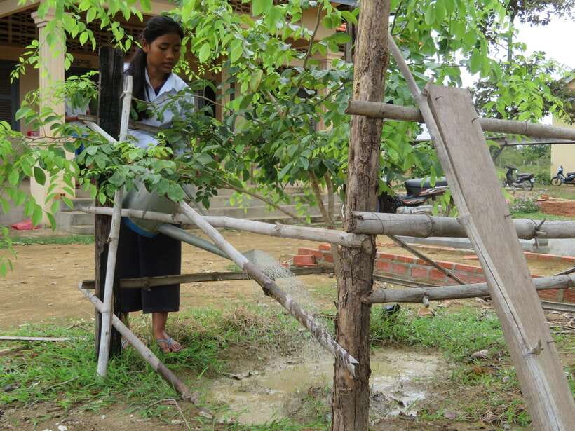Back to Basics: Village Life Tour from Siem Reap - Getting there: Siem Reap pickup and real village access