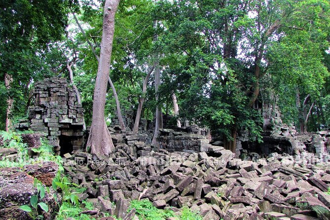 Banteay Chhmar Temple & Silk Farm Private Day Trip from Siem Reap - Stop 3: Angkor Silk Farm and what traditional silk really looks like