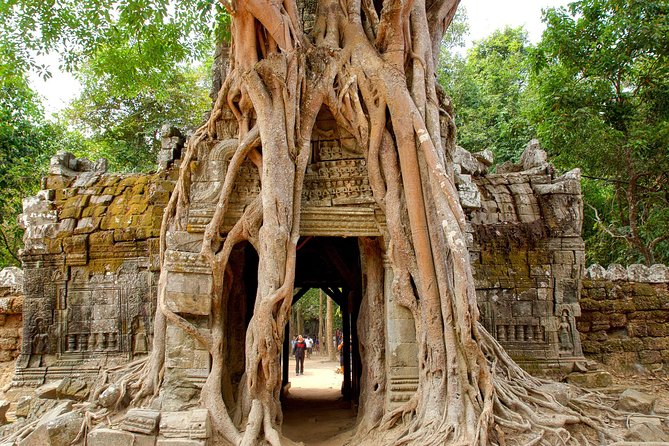 Banteay Srei & Angkor Big Circuit Tour - Banteay Srei: The Pink Citadel of Women, Small but Detailed