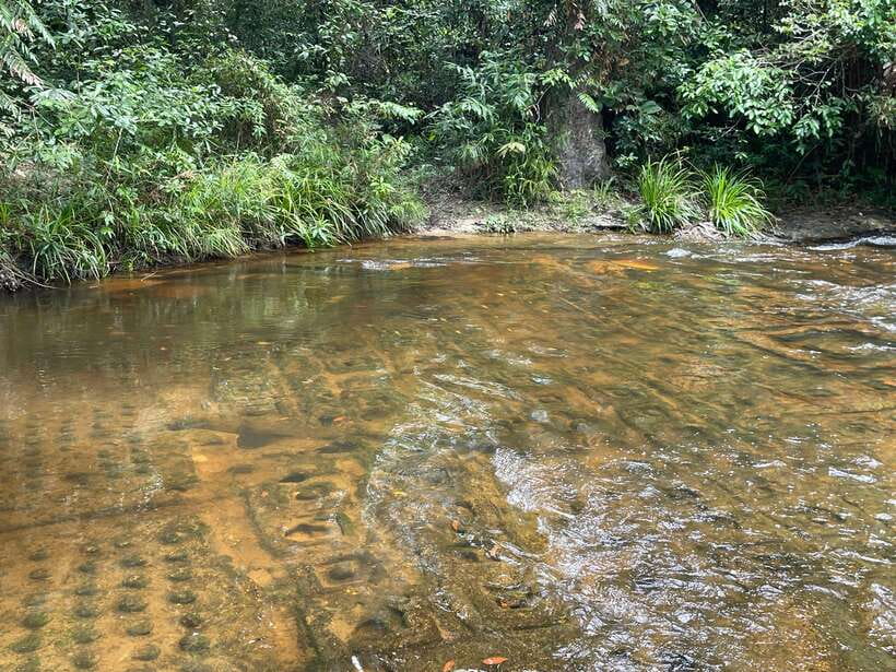 Banteay Srei, Kulen Waterfall & Beng Mealea Small-Group Tour - Beng Mealea Jungle Ruins: The Adventure Temple Ending