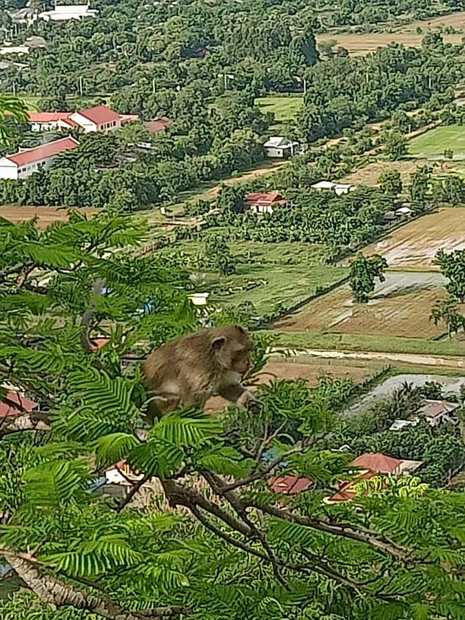 Battambang Full Day Tour from Siem Reap - Price and value: why $129 can make sense for a long day