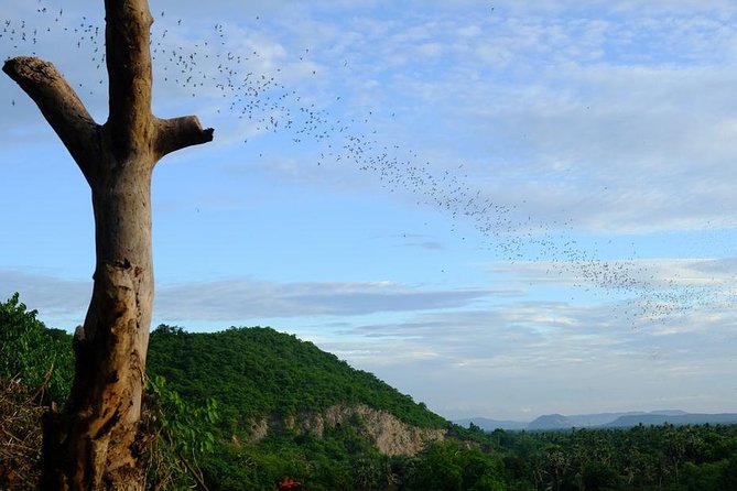 Battambang Full Day Tour from Siem Reap - Bamboo Train, Killing Cave & Sunset - Killing Cave at Phnom Sampeau: a heavy stop handled with care