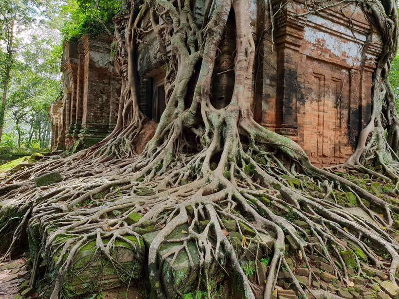 Beng Mealea, Koh Ker & Floating village Day Tour - Price and value: what you pay, what you still need to budget