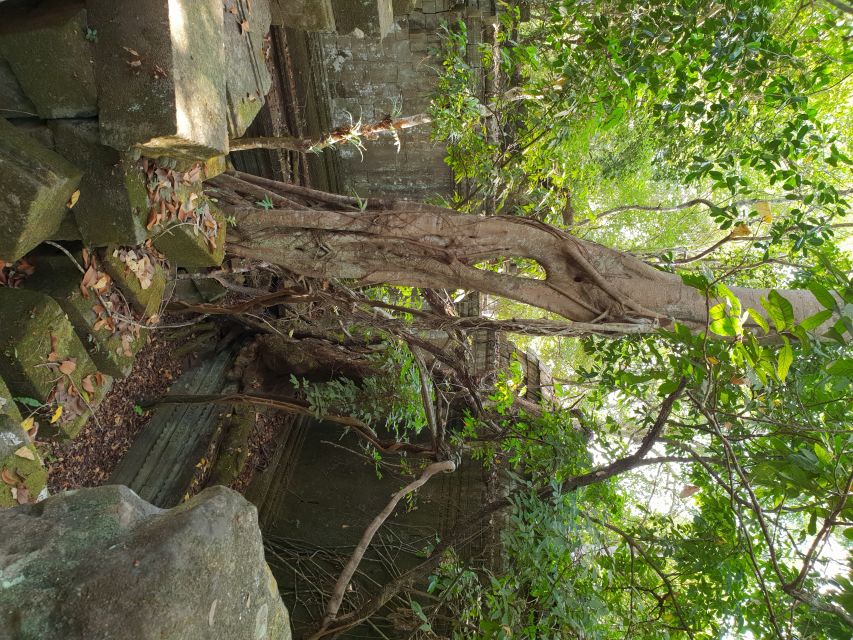Beng Mealea, Koh Ker & Floating village Day Tour - The guide makes it click, especially with stonework stories