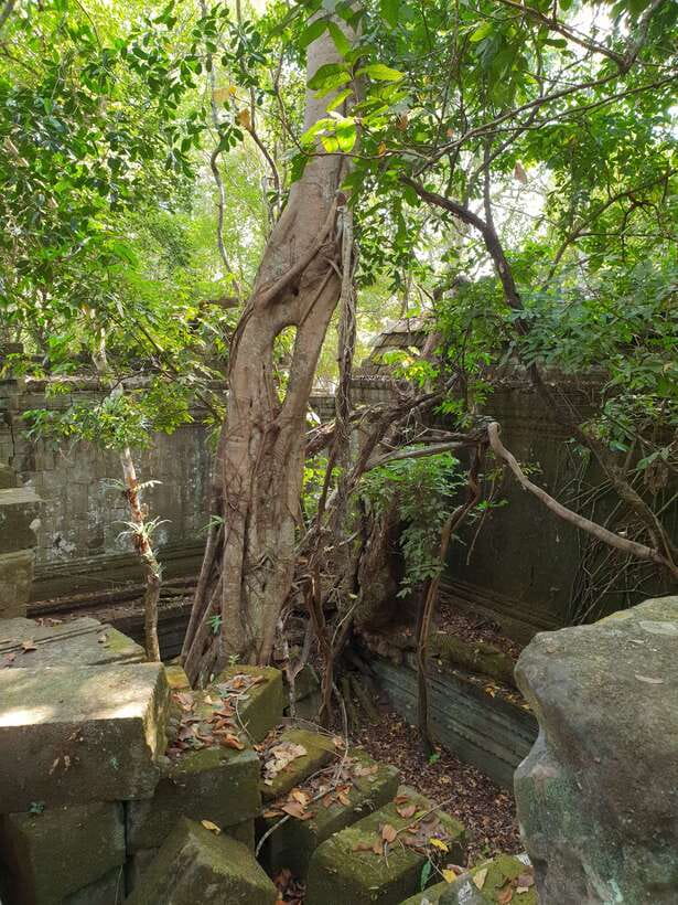 Beng Mealea, Koh Ker & Floating village Day Tour - What to bring, and what to wear at sacred sites