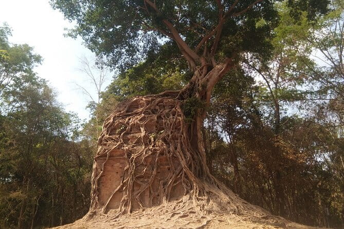 Best Driver Taxi From Siem Reap To Phnom Penh - English Speaking - The car matters, and you get options that fit your group