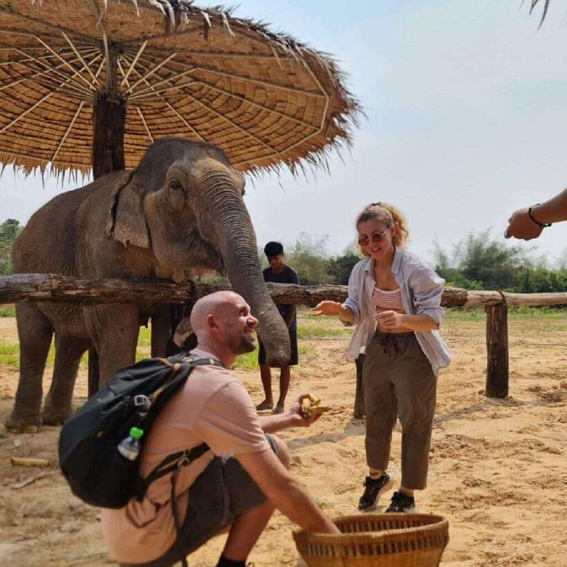 Cambodia Elephant Sanctuary and Banteay Srey Temple Tour - What I like most about this tour