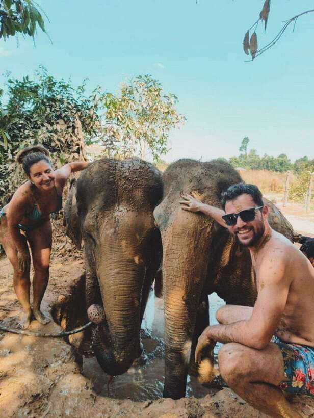 Cambodia Elephant Sanctuary and Banteay Srey Temple Tour - Key points to know before you go