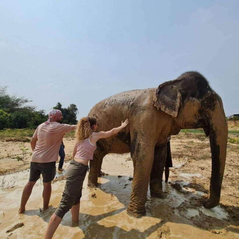 Cambodia Elephant Sanctuary and Banteay Srey Temple Tour - Kbal Spean and the 1000 Lingas under flowing water