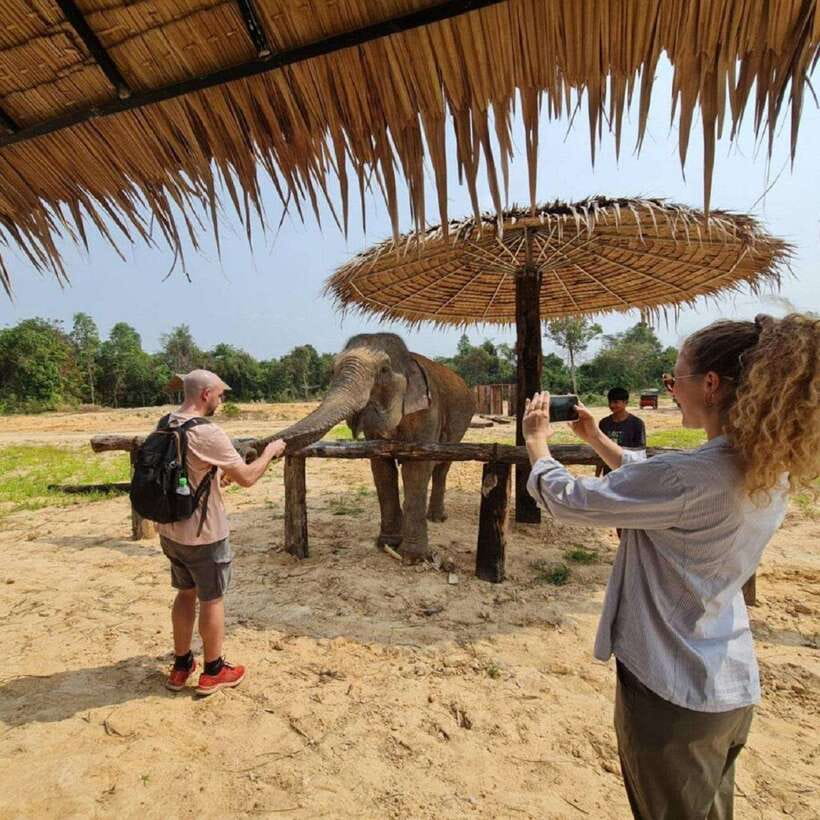 Cambodia Elephant Sanctuary and Banteay Srey Temple Tour - Price and logistics: is $71 worth it?