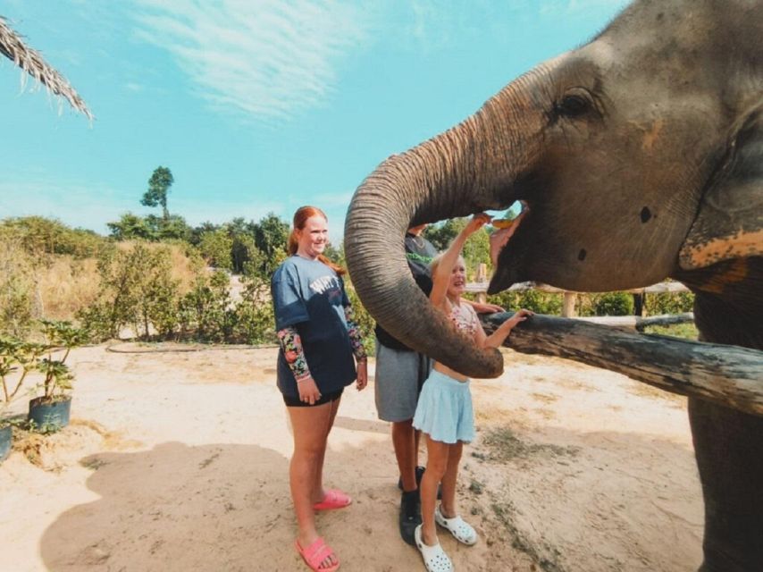 Cambodia Elephant Sanctuary and Banteay Srey Temple Tour - Who this tour is best for