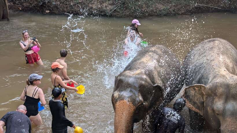 Cambodia Elephant Sanctuary Include Hotel Transfer Roundtrip - Who this sanctuary experience fits best