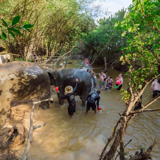 Cambodia Elephants Haft Day Experiences from Siem Reap - Guides who make the day feel human