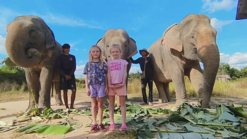 Cambodia Elephants Haft Day Experiences from Siem Reap - Price and what $97 buys you in time, guidance, and access