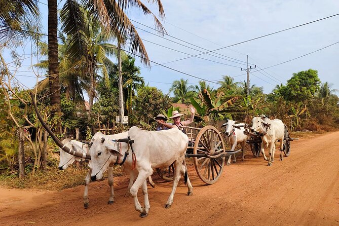 Cambodian Cooking Class and Oxcart Ride with Local Village Tour - Your guide and driver combo: why names matter