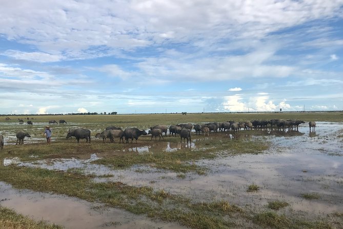 Cambodian Village Life Tour with Lady Tuk Tuk & Local Guide - Family Duck Farm, Water Buffalo, and Native Birds Along the Route