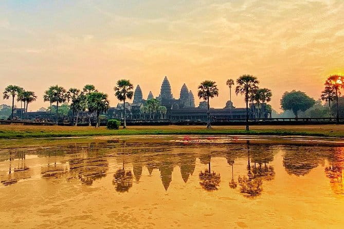 Classic Angkor Wat Sunrise Full Day Private Guide Tour - Stop 2: Ta Prohm, tree roots and morning calm