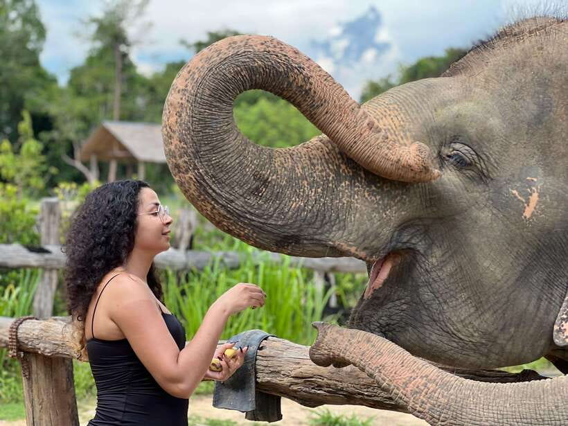 Elephant Sanctuary Cambodia, Pickup and drop off included - Getting to the sanctuary: the Siem Reap drive sets expectations