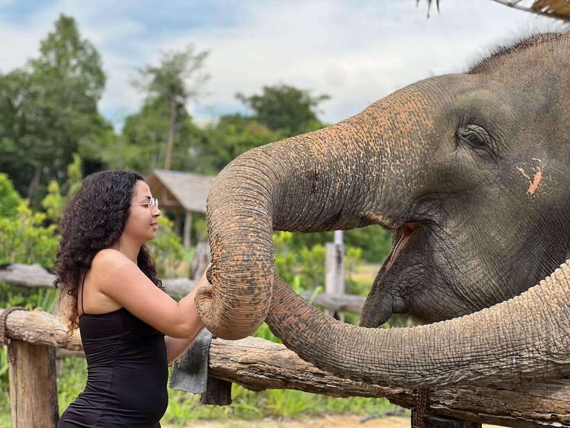 Elephant Sanctuary Cambodia, Pickup and drop off included - Handmade snack prep: feeding that feels educational, not just cute